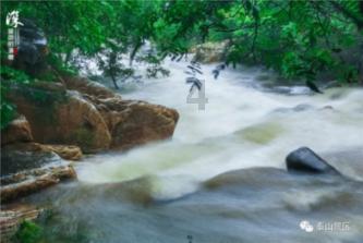 春雨直播app
